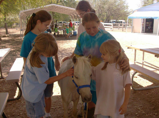 kids petting a pony