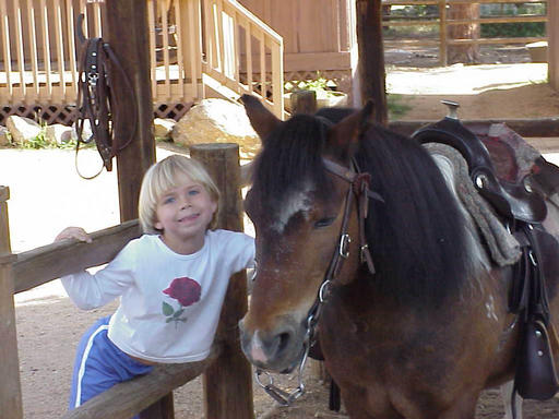 Kids love ponies!