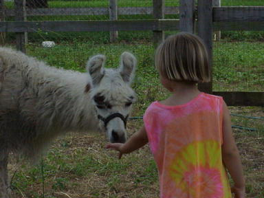 girl with llama