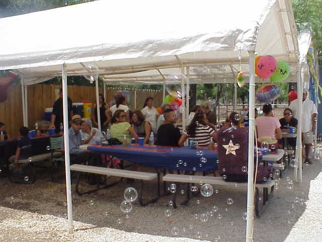 birthday party at petting zoo