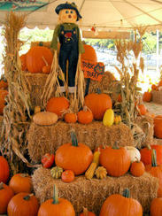 Pumpkins